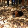 Cu-Chi-Tunnels-06